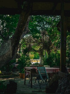 户外绿荫下的休闲桌椅场景