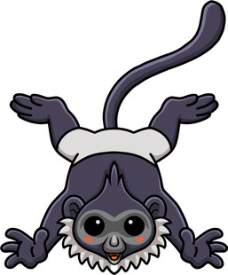 倒挂的可爱小猴子