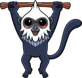 举木棍的可爱小猴