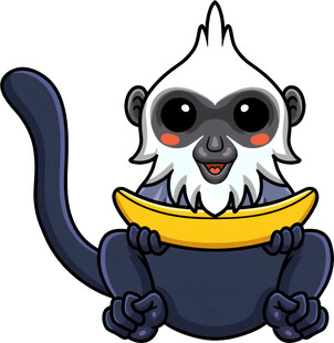 可爱白脸卷尾猴抱香蕉