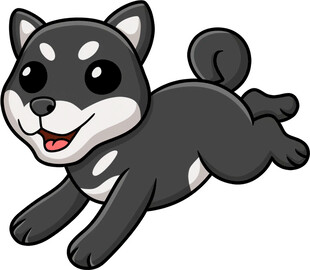 奔跑的可爱黑柴犬