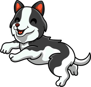 跳跃的可爱小狗