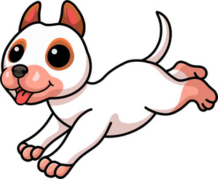 奔跑的可爱小白狗