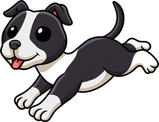 奔跑的可爱黑白小狗