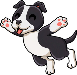 跳跃的可爱黑白小狗