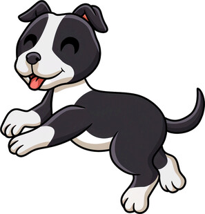 跳跃的可爱黑白小狗