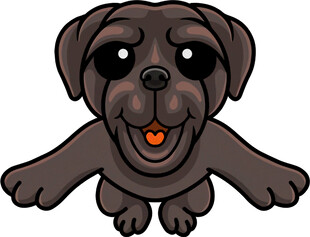 可爱黑小狗张开双臂