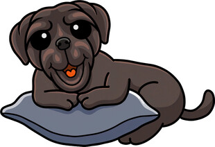 趴着的可爱小狗