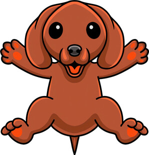 可爱棕色腊肠犬张开手脚