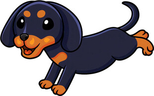 跳跃的可爱腊肠犬