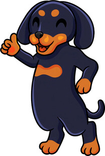 可爱腊肠犬开心打招呼