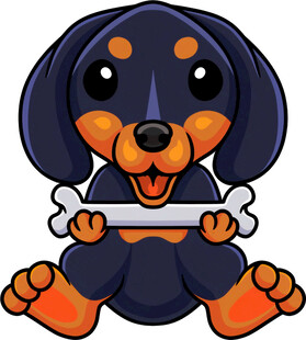 可爱腊肠犬抱骨头