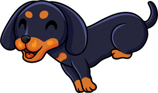 跳跃的可爱小狗