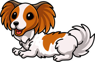 可爱躺卧的棕白相间小狗