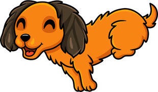 跳跃的可爱小狗