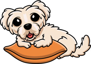 可爱小狗趴在橙色垫子上