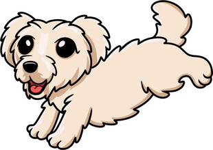 奔跑的可爱小狗