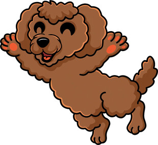 欢快跳跃的棕色泰迪犬