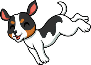 跳跃的三色小狗