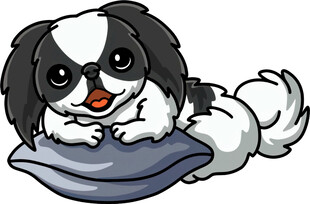 趴着的可爱黑白小狗