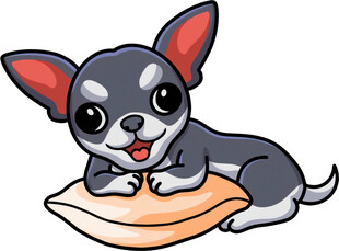 趴着的吉娃娃小狗