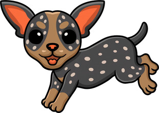 可爱斑点小狗欢快奔跑