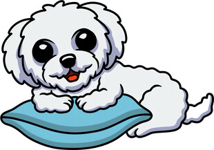 趴着的可爱小白狗