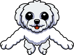 可爱白小狗欢快跳跃