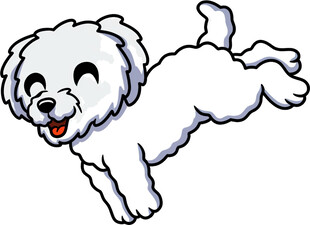 跳跃的可爱小白狗