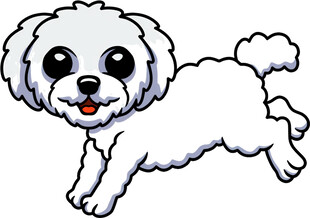 可爱小白狗欢快奔跑