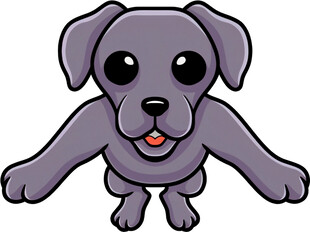 可爱灰小狗张开双臂