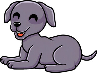 趴着的可爱灰色小狗