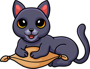 趴着的可爱黑猫