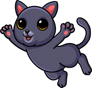 跳跃的可爱黑猫