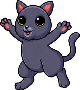 跳跃的可爱黑猫