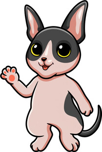 挥手的可爱猫咪