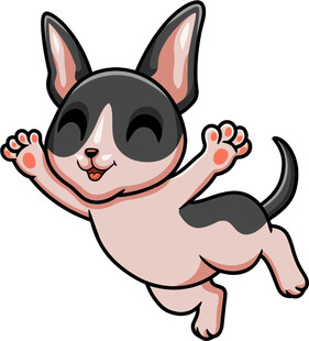 跳跃的可爱吉娃娃小狗