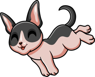 跳跃的可爱法斗犬