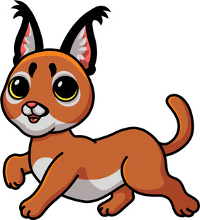 奔跑的可爱小猞猁