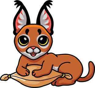 可爱小猞猁趴枕上