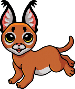 可爱小猞猁欢快奔跑