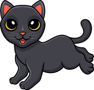 奔跑的可爱黑猫