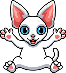 可爱白猫咪张开双手