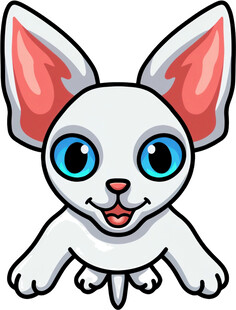 可爱卡通小白猫