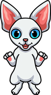 可爱白耳卡通猫形象