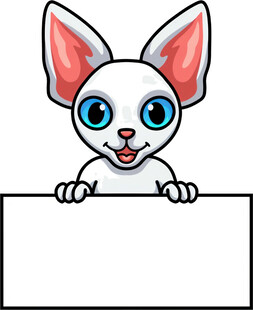可爱小兔举空白标牌