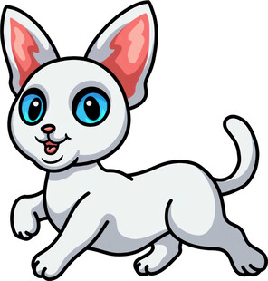 奔跑的可爱小白猫