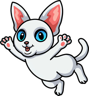 跳跃的可爱小白猫
