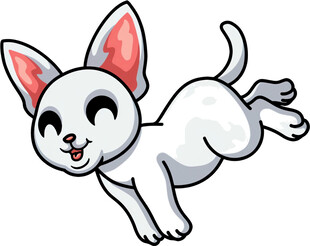 跳跃的可爱小白猫