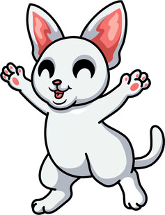 可爱小白猫欢快舞动